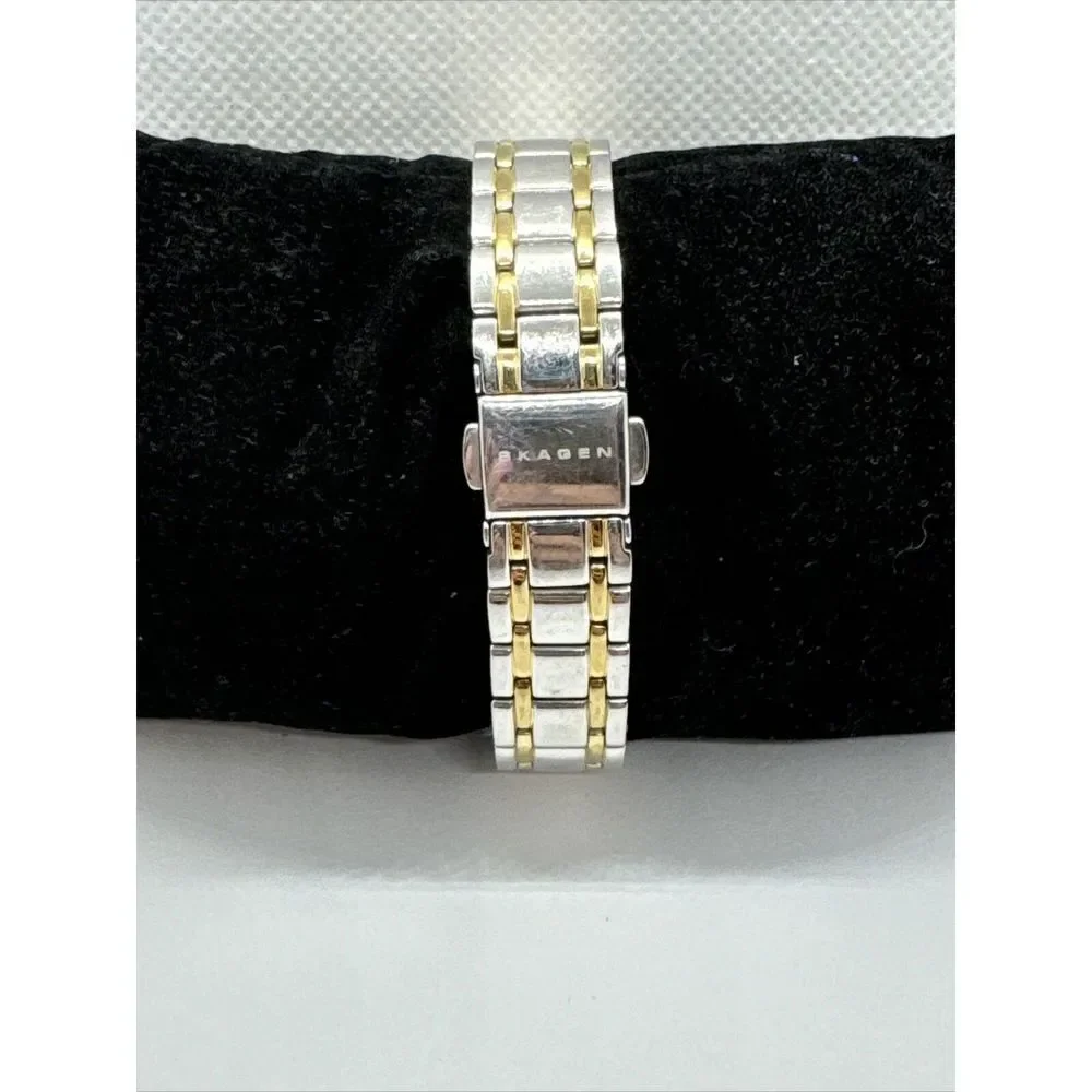 Skagen SKW2255 Women's Two-Tone Stainless Steel Analog Dial Quartz Watch JNA446